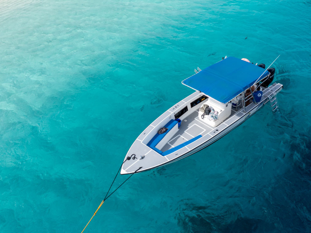 Fishing charter bonaire